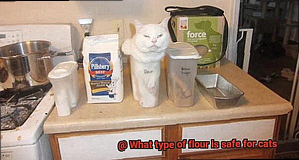 What type of flour is safe for cats-3