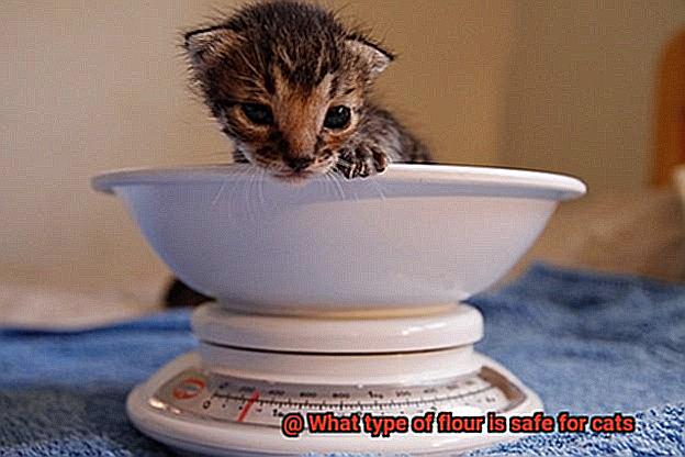 What type of flour is safe for cats-4