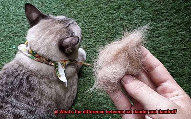 What's the difference between cat dander and dandruff-3