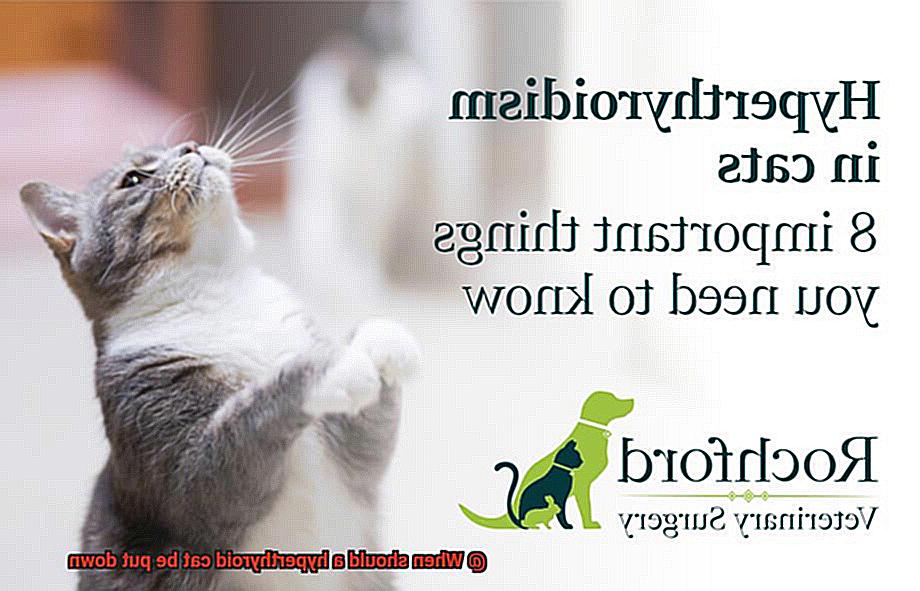 When should a hyperthyroid cat be put down-3