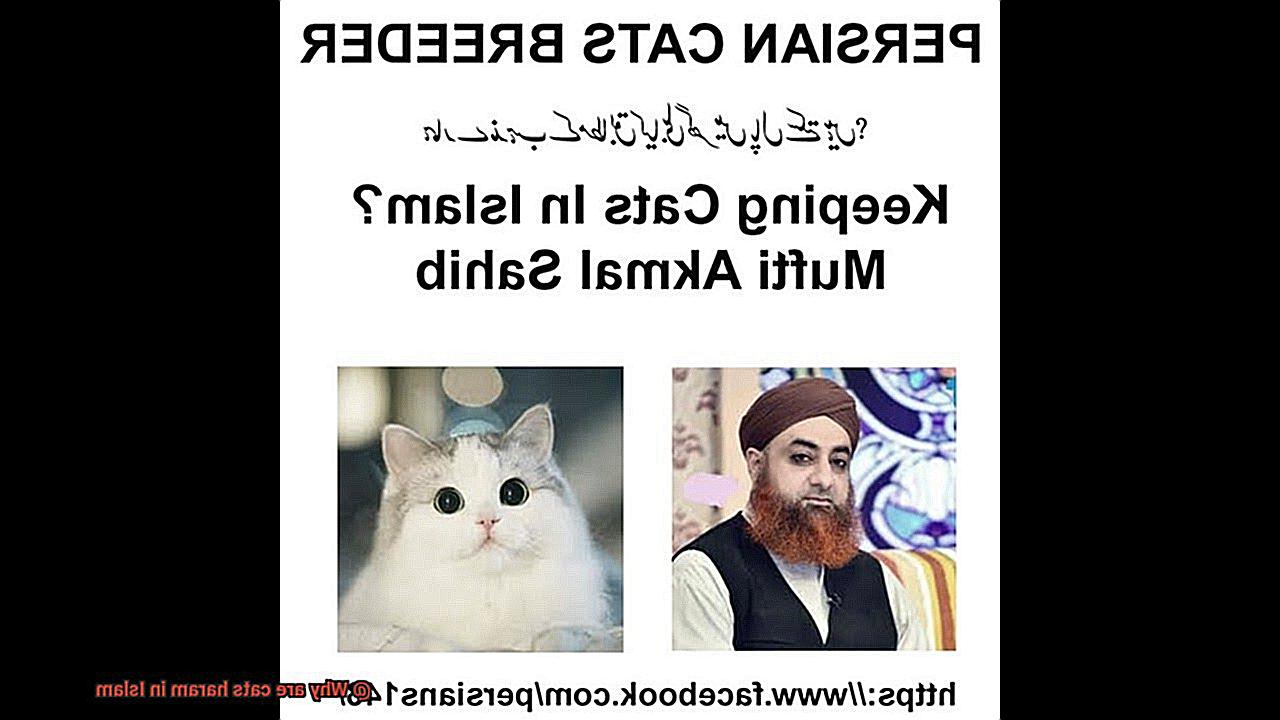 Why are cats haram in Islam-7