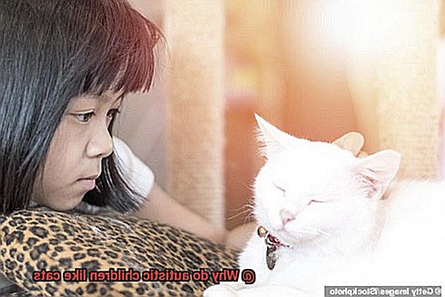 Why do autistic children like cats-10