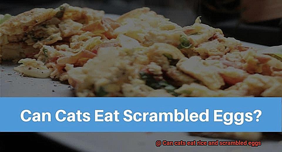 Can cats eat rice and scrambled eggs-4