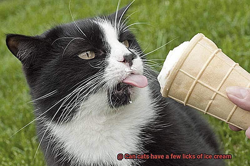 Can cats have a few licks of ice cream-4