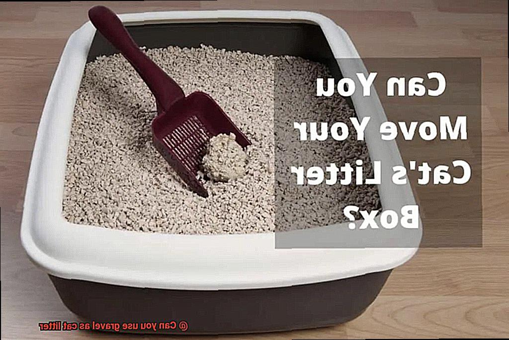 Can you use gravel as cat litter-6