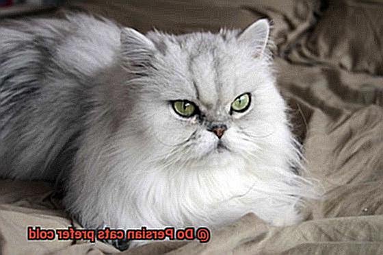 Do Persian cats prefer cold 9516979694