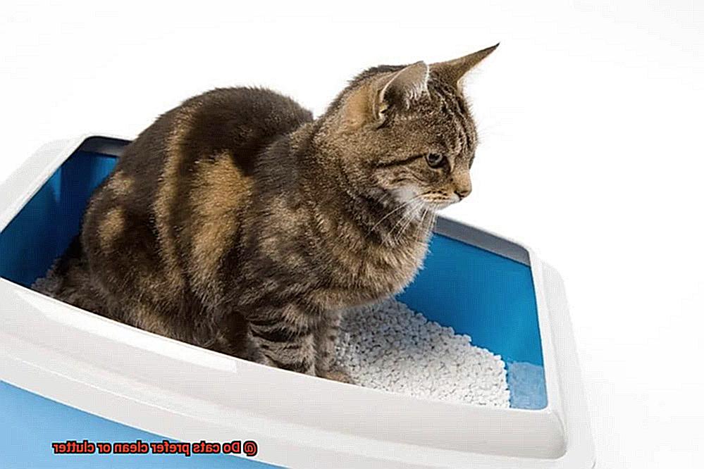 Do cats prefer clean or clutter-4