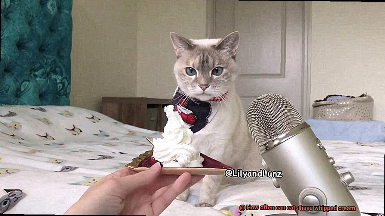 How often can cats have whipped cream-9