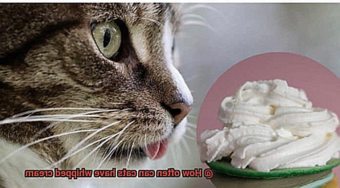 How often can cats have whipped cream-8