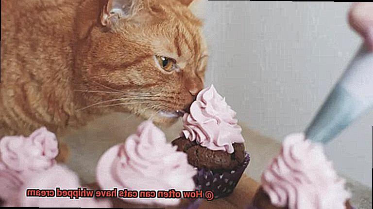 How often can cats have whipped cream-5