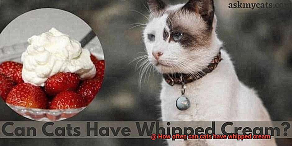 How often can cats have whipped cream-6