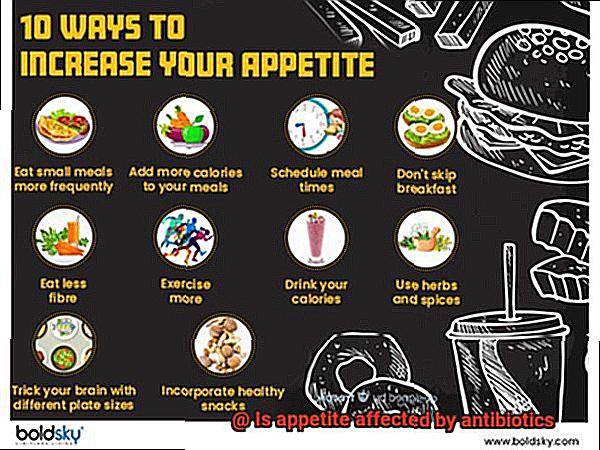 Is appetite affected by antibiotics-2