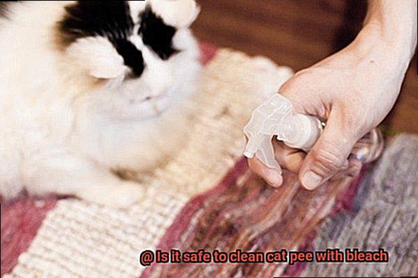 Is it safe to clean cat pee with bleach-8