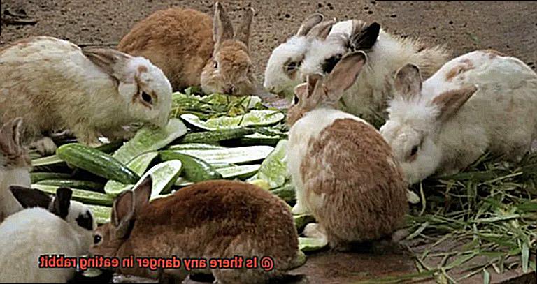 Is there any danger in eating rabbit-8