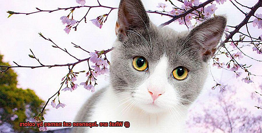 What are Japanese cat names by colors-7