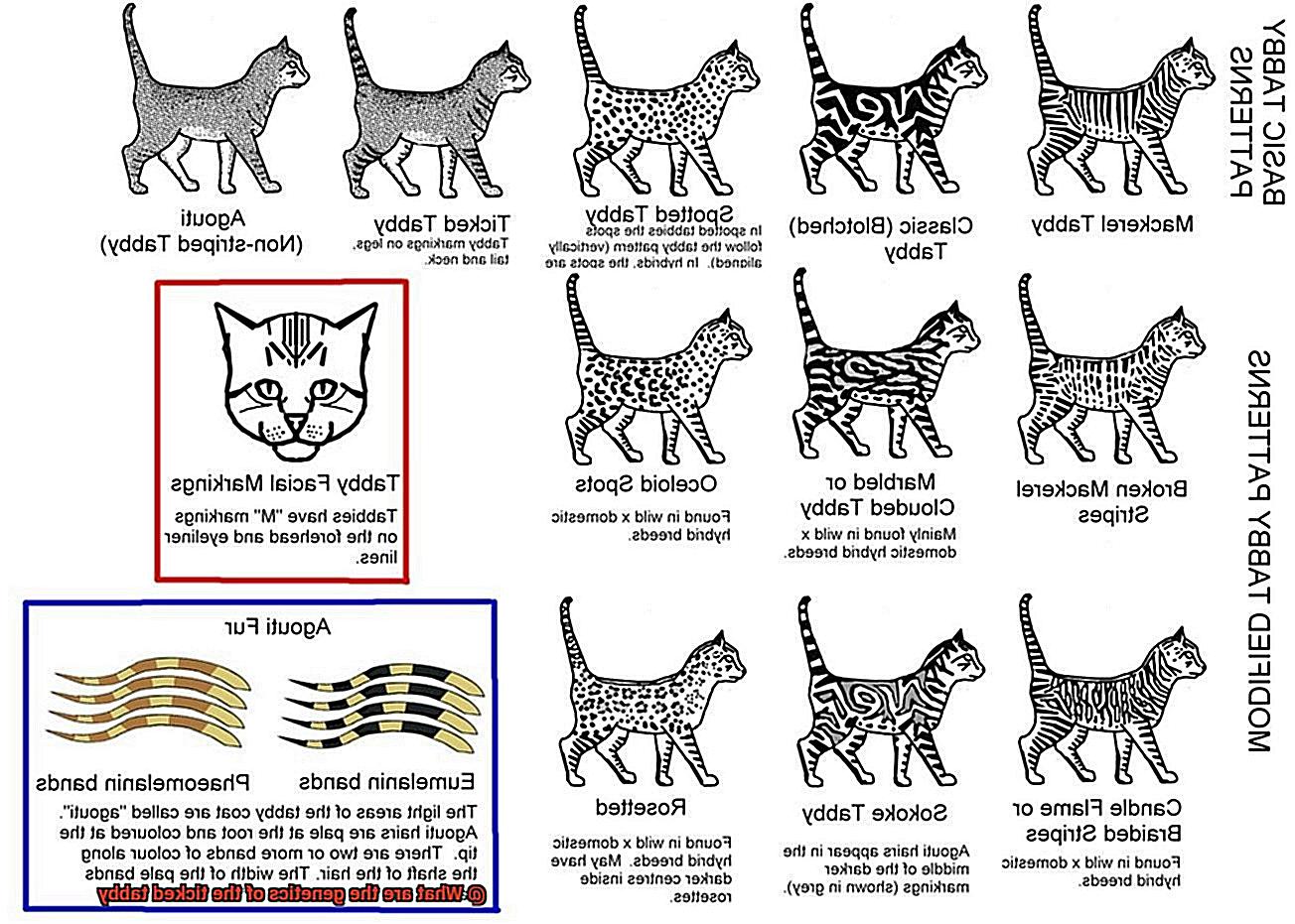 What are the mythical Greek cats-5