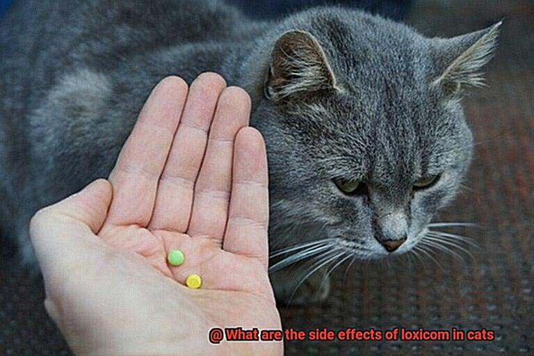 What are the side effects of loxicom in cats-2