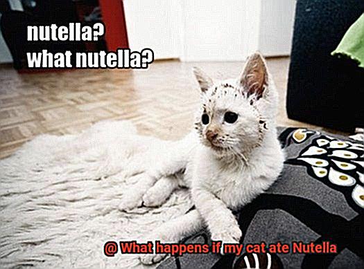 What happens if my cat ate Nutella-3