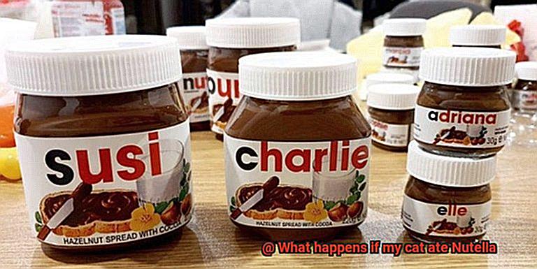 What happens if my cat ate Nutella-4