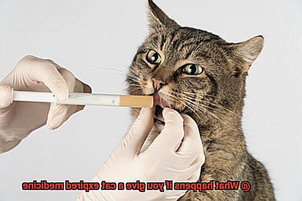 What happens if you give a cat expired medicine-9