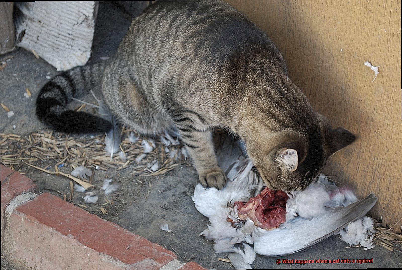 What happens when a cat eats a squirrel-2