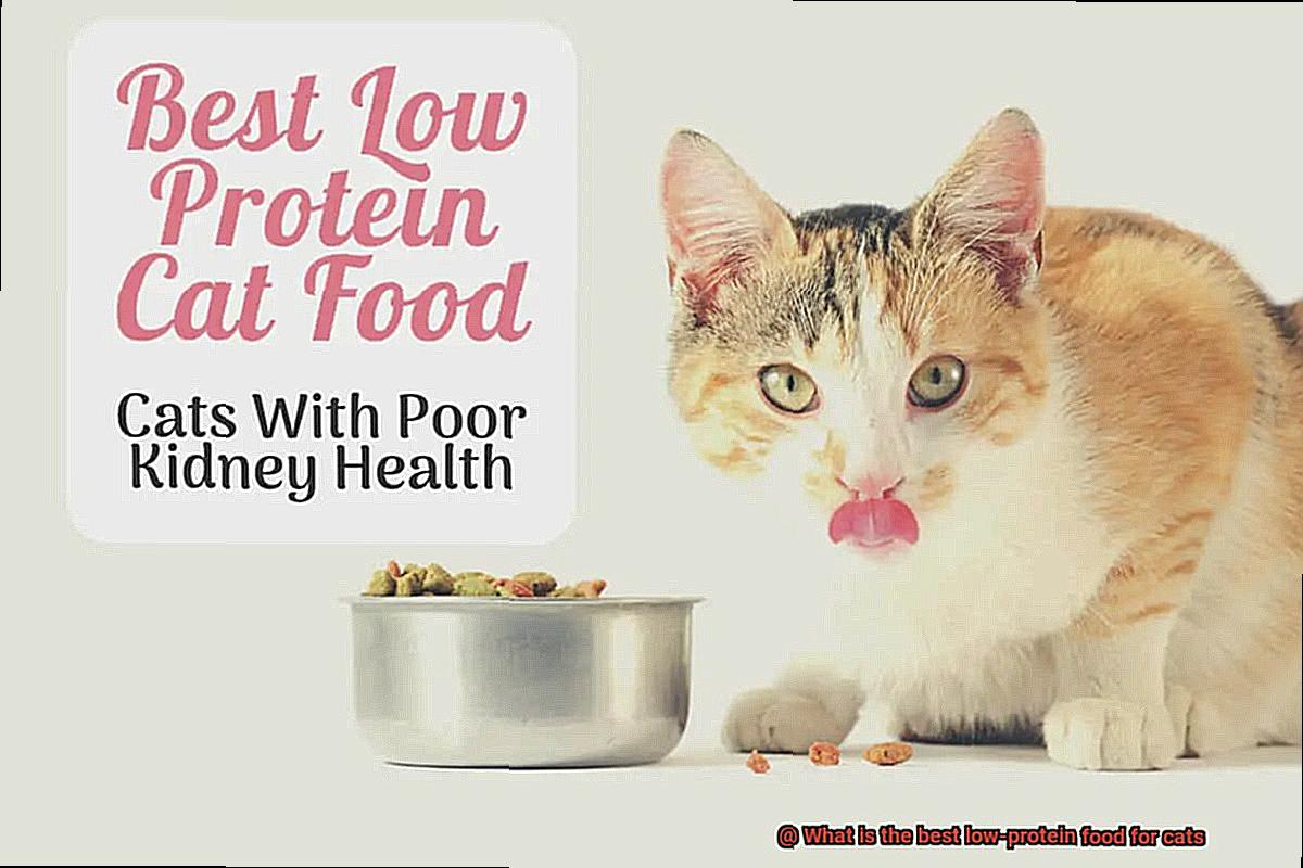 What is the best low-protein food for cats-4