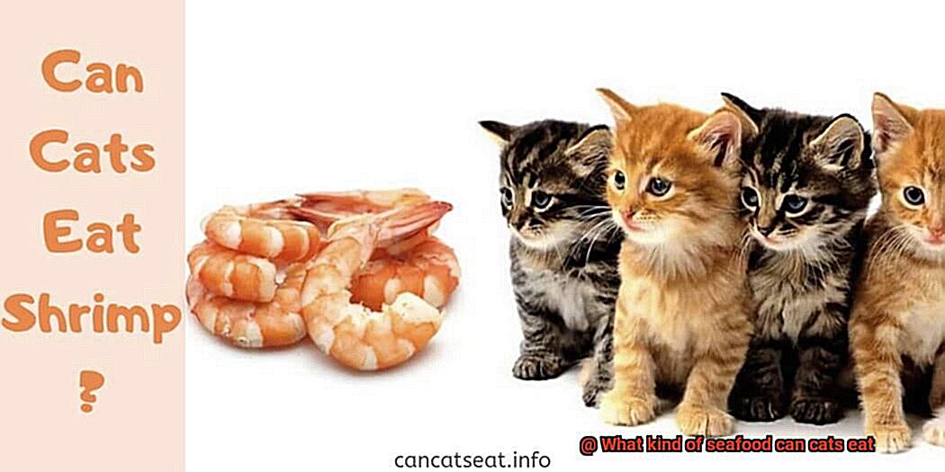 What kind of seafood can cats eat-2