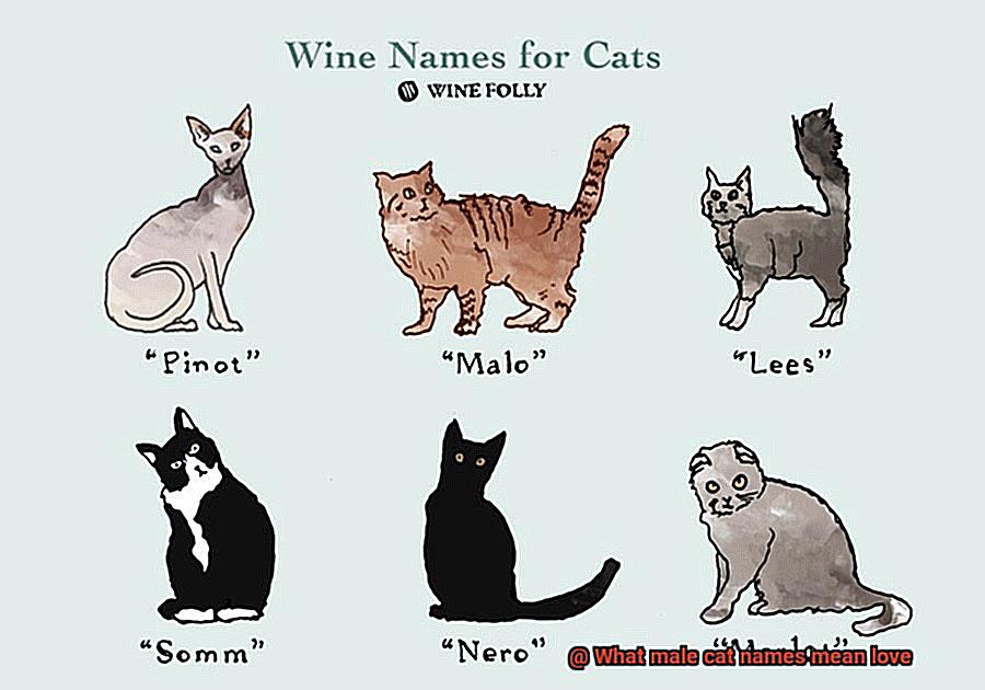 What male cat names mean love-3