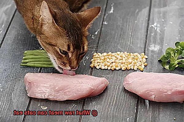 What raw meat can cats eat-5