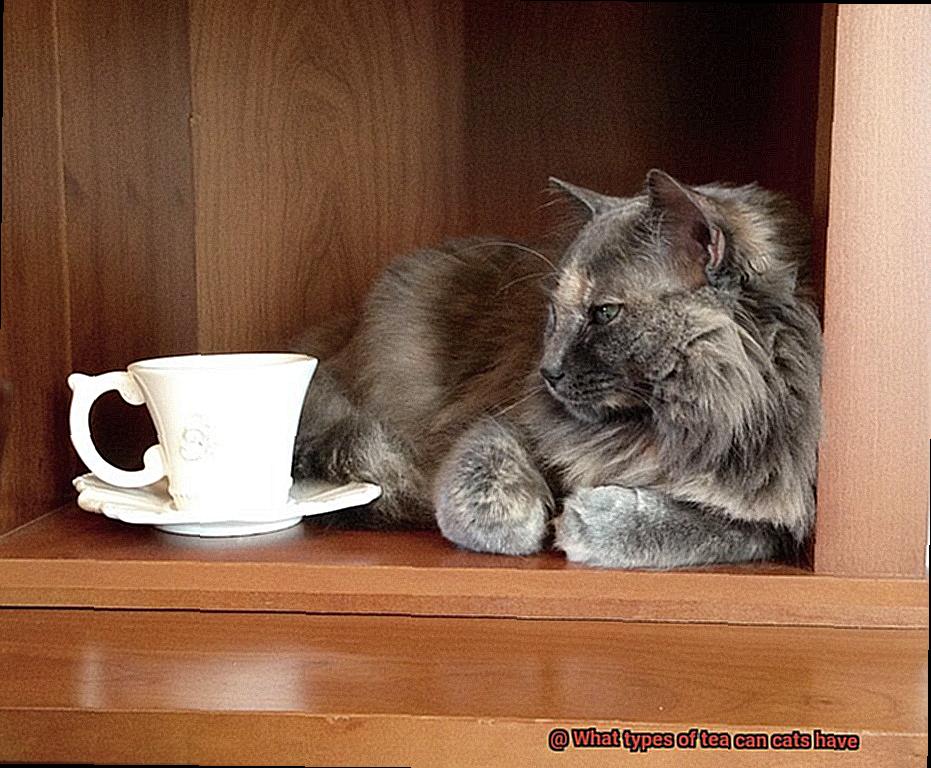 What types of tea can cats have-5