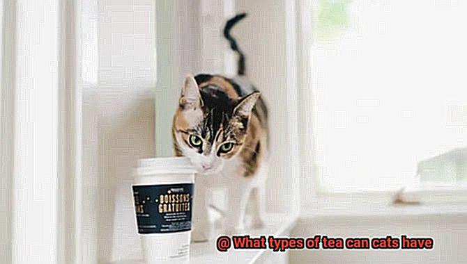 What types of tea can cats have-3
