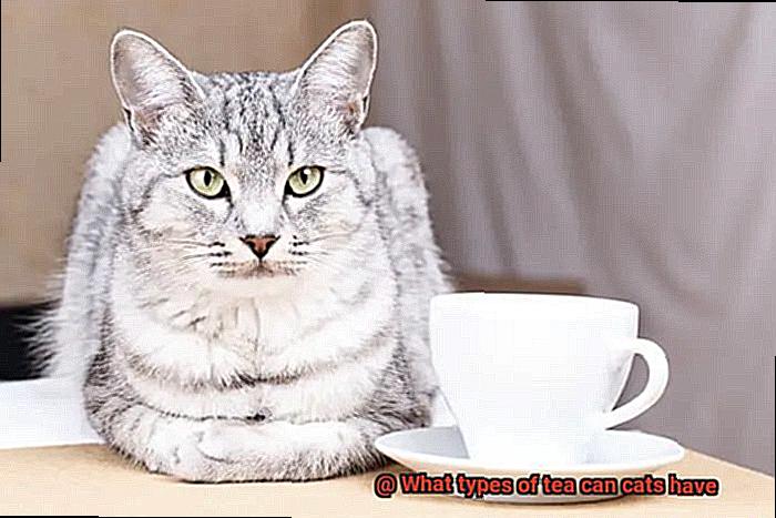 What types of tea can cats have-6