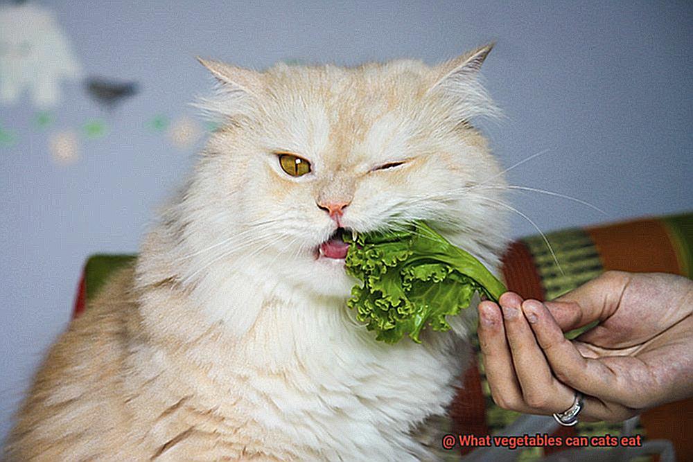What vegetables can cats eat-7