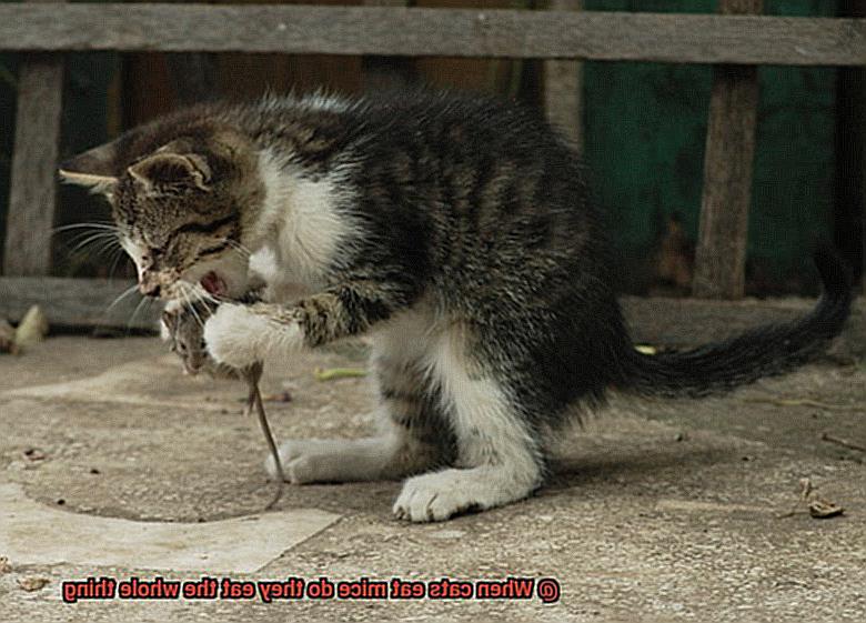 When cats eat mice do they eat the whole thing-5