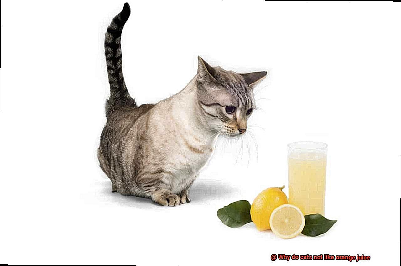 Why do cats not like orange juice?