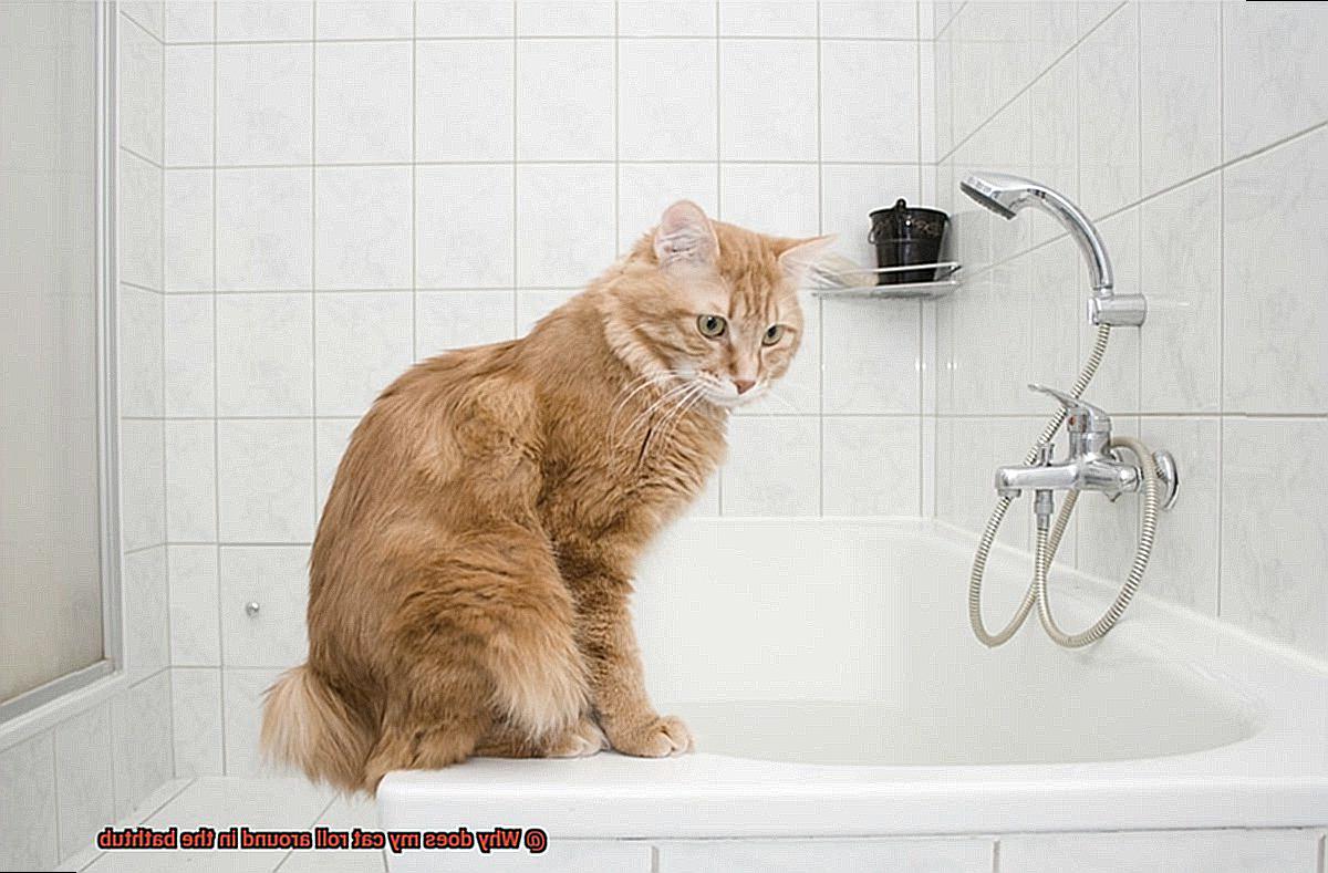 Why does my cat roll around in the bathtub-3