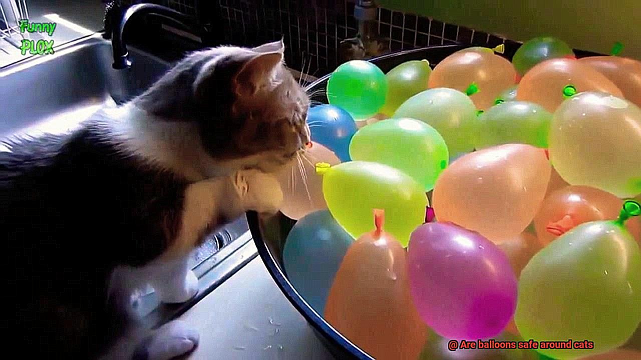 Are balloons safe around cats-3