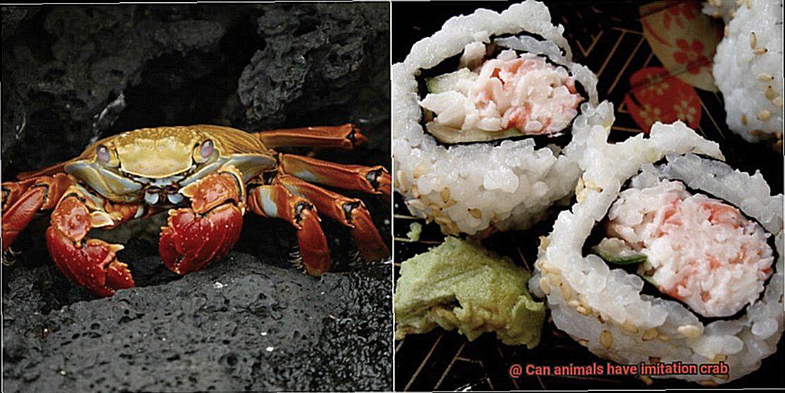 Can animals have imitation crab-6