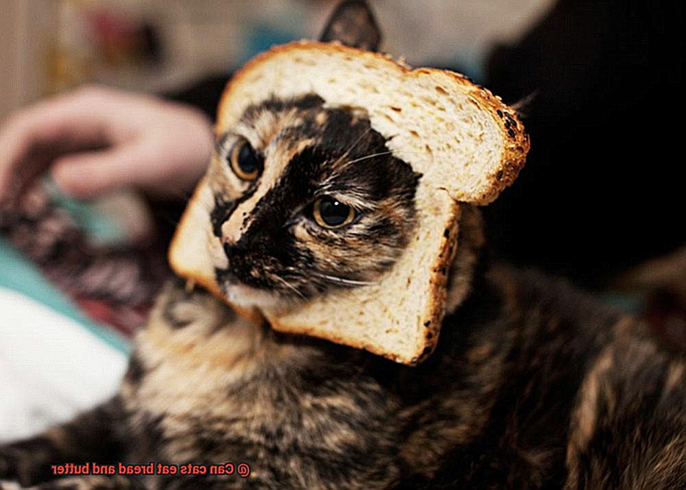 Can cats eat bread and butter-6