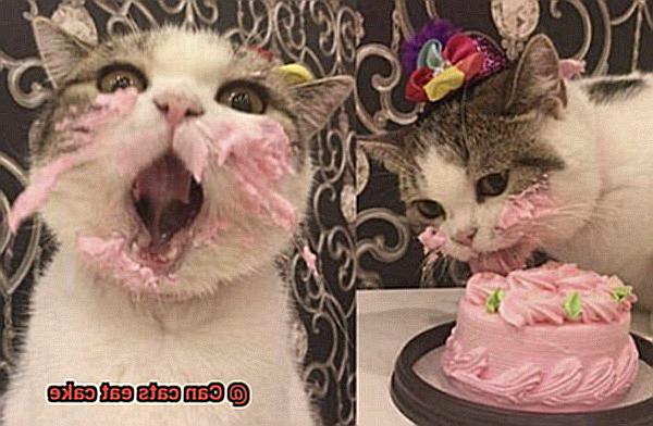 Can cats eat cake-4