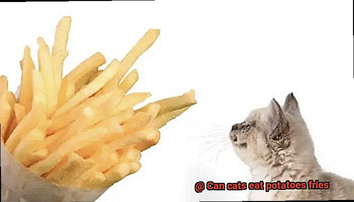 Can cats eat potatoes fries-3