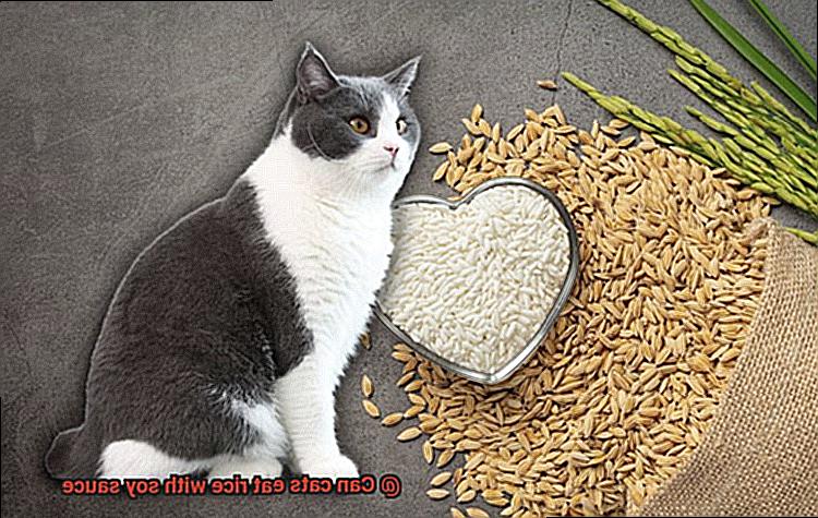 Can cats eat rice with soy sauce-4