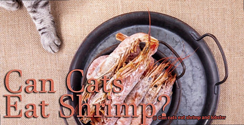 Can cats eat shrimp and lobster-10