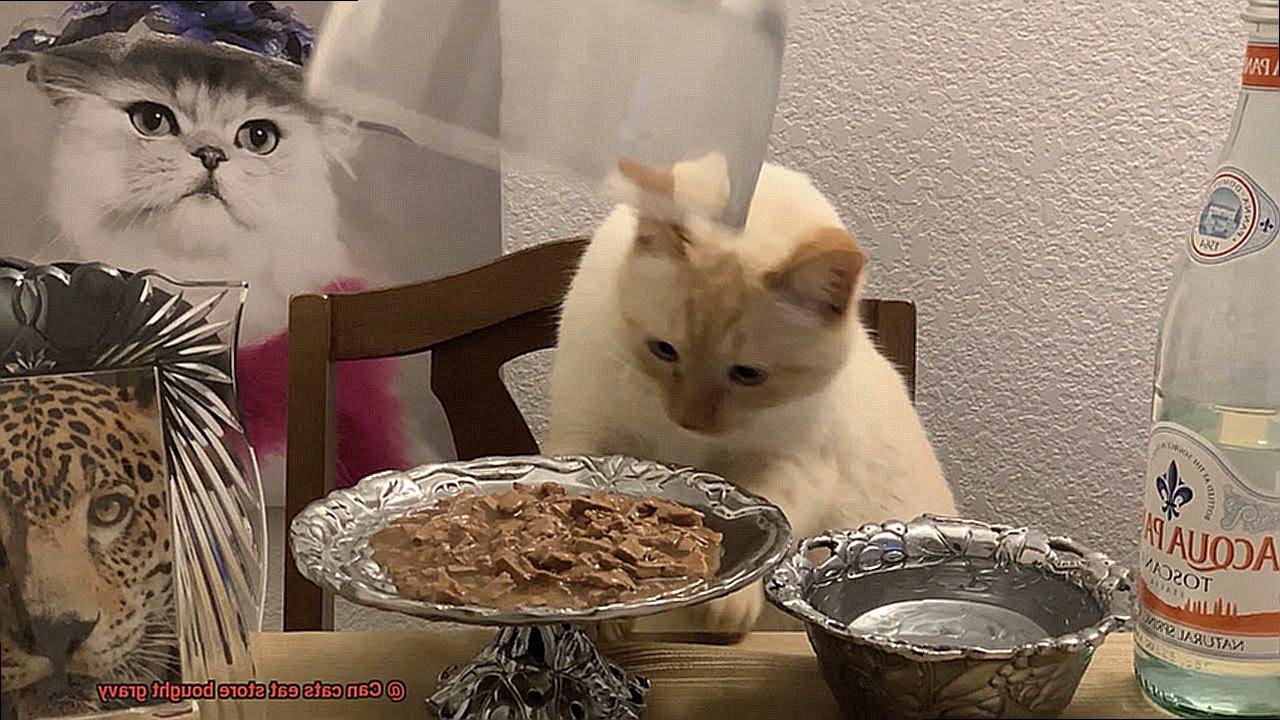 Can cats eat store bought gravy-4