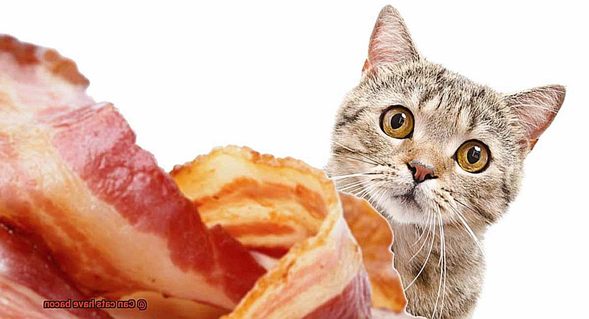 Can cats have bacon-3
