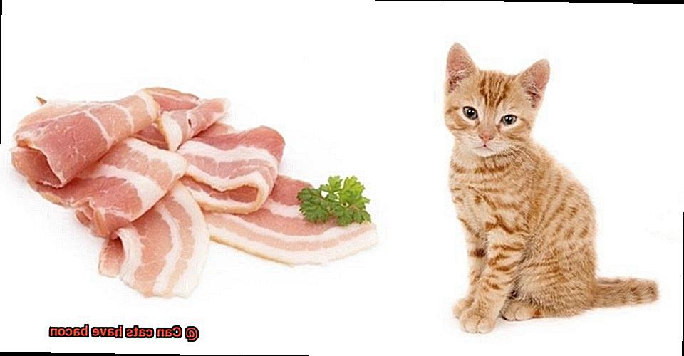 Can cats have bacon-2