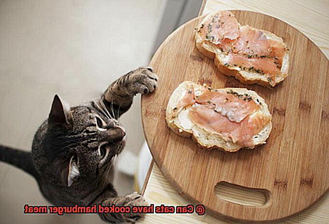 Can cats have cooked hamburger meat-2