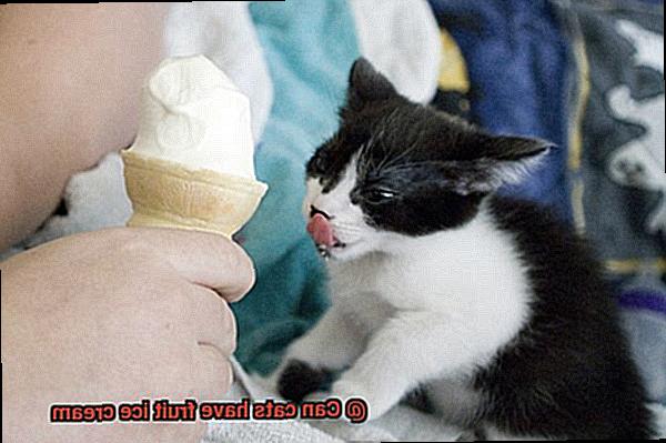 Can cats have fruit ice cream-7