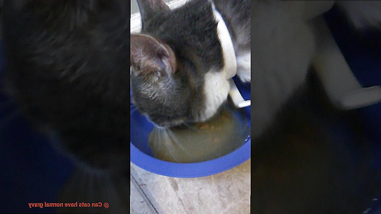 Can cats have normal gravy-6