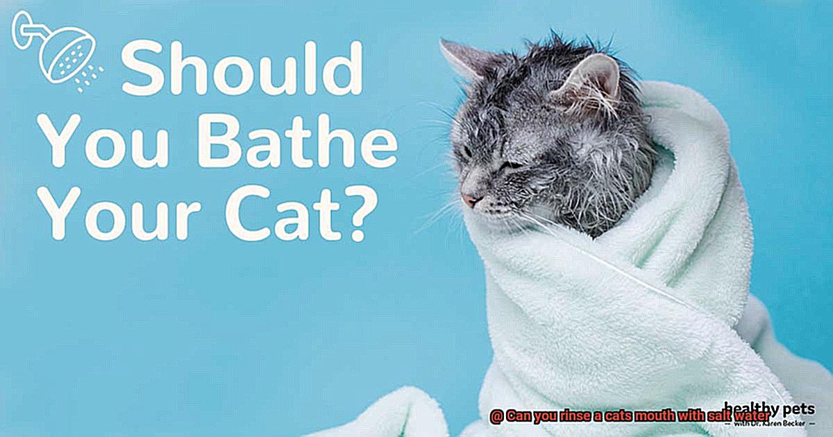 Can you rinse a cats mouth with salt water-3